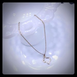 Dainty gold Texas necklace